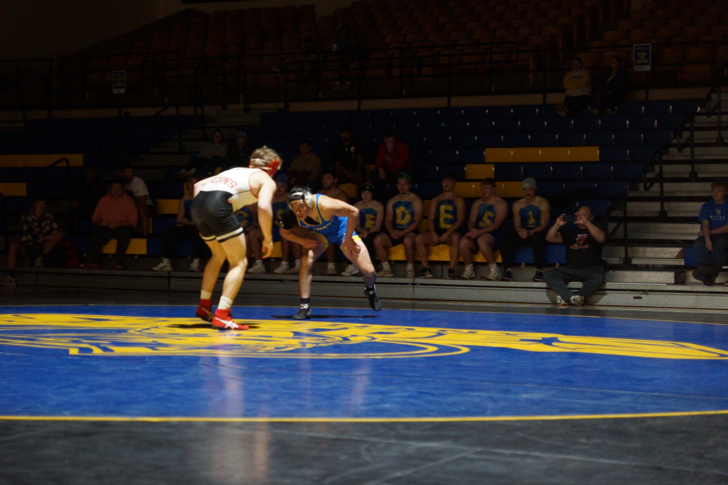 SWEDES LOSE AT HOME TO SPIRES